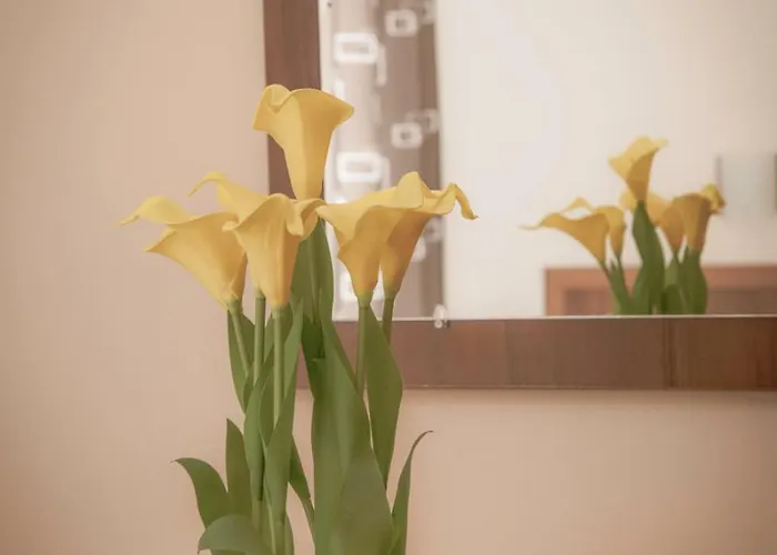 Grenada Slantschew brjag